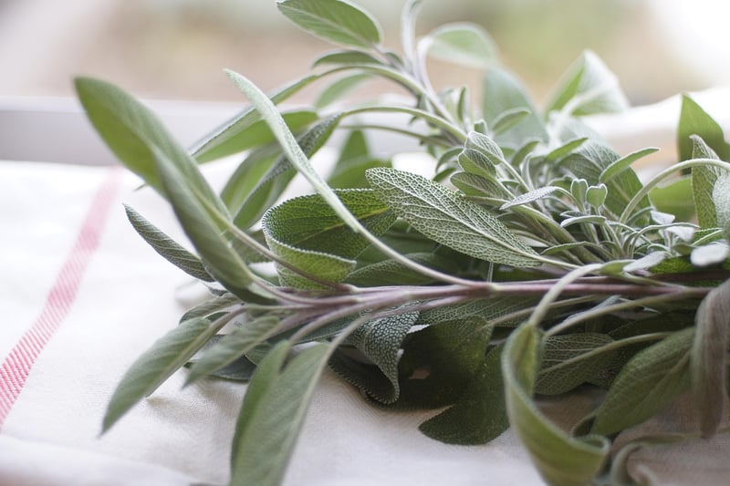 Kitchen Herb Garden
